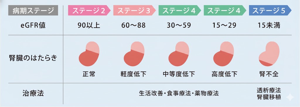 慢性腎不全とは？その定義と進行ステージ