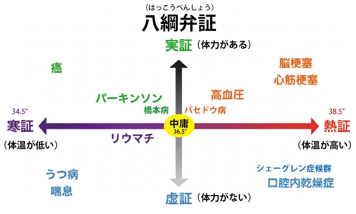 吉野式八綱弁証チャート